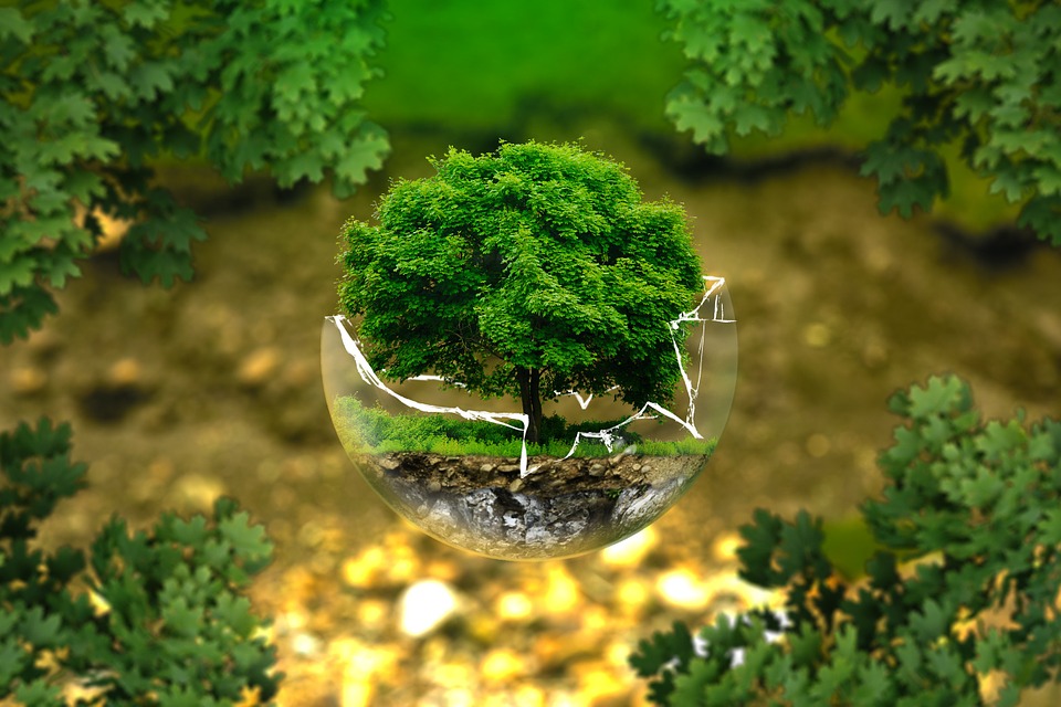 Pixabay - Environmental Protection, Environment