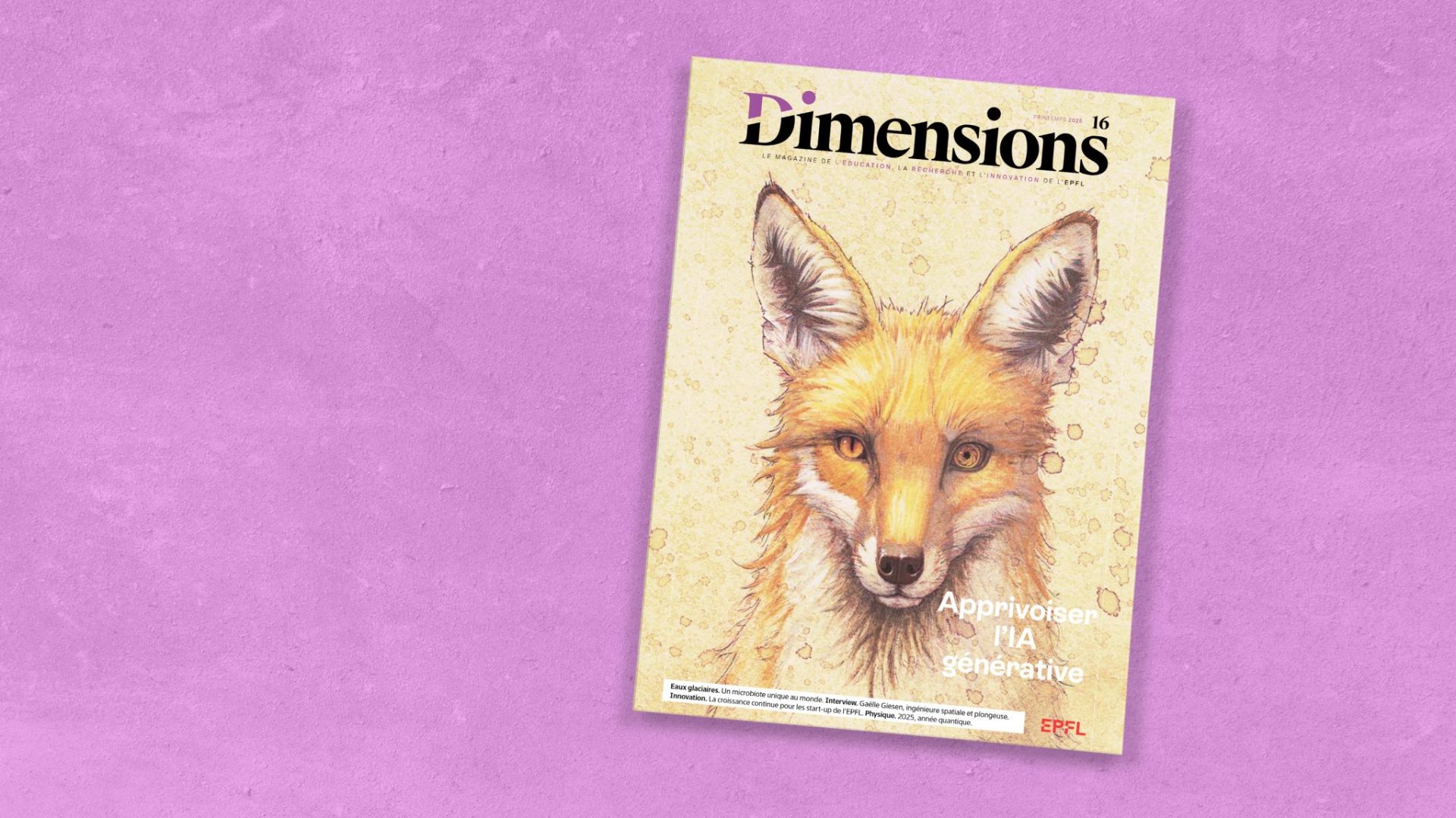 Couverture du 16e numéro du magazine Dimensions. Sur la couverture, un renard, de face, dessiné à la main